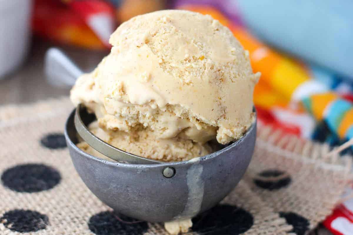 18+ Deni Ice Cream Maker Recipes