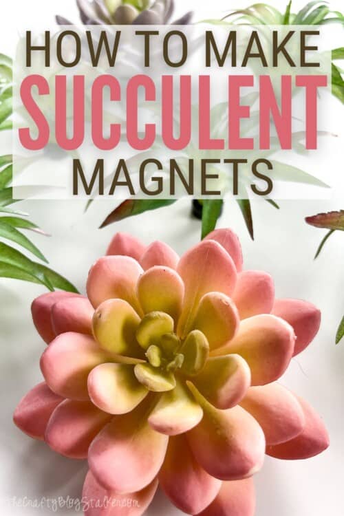 title image for How To Make Succulent Magnets: Easy Step By Step Guide