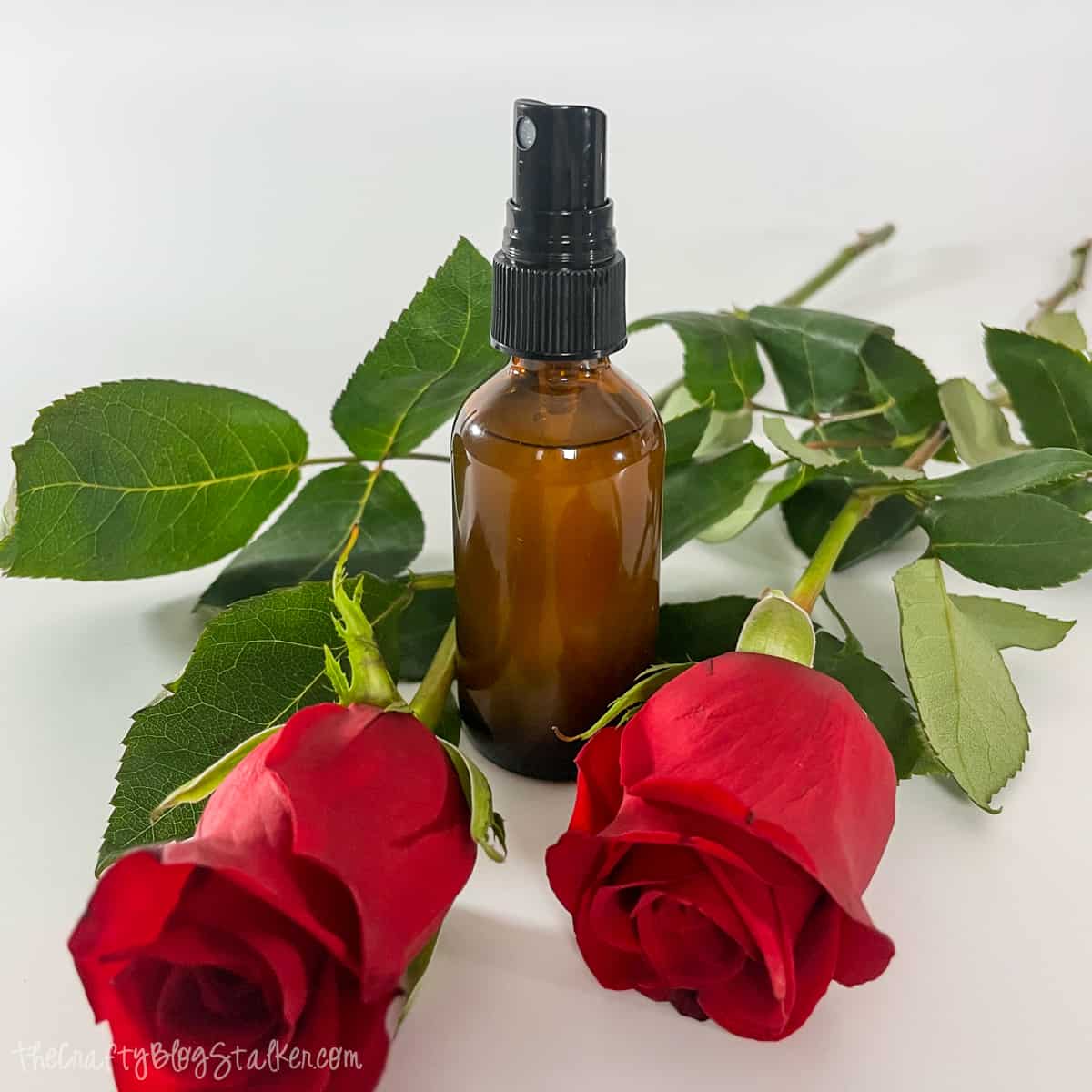 DIY rosewater face mist amongst red roses