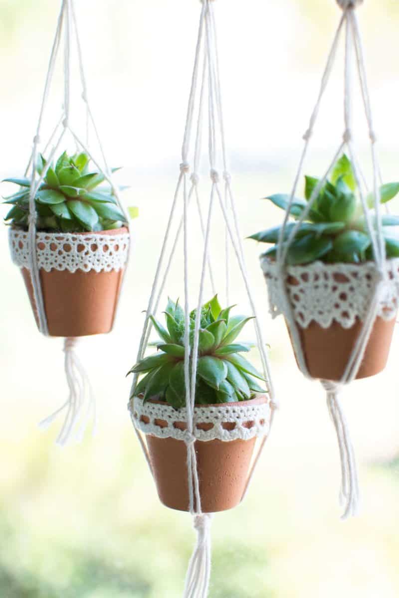 mini planters 