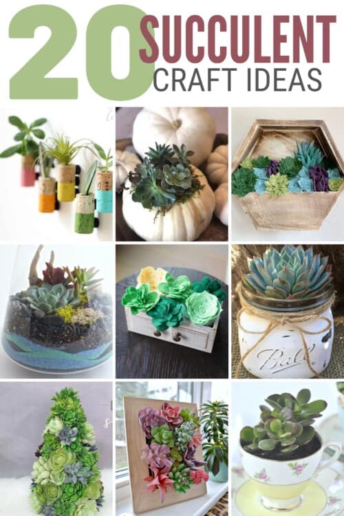 title image for 20 Succulent Crafts Ideas that are Fun and Easy!