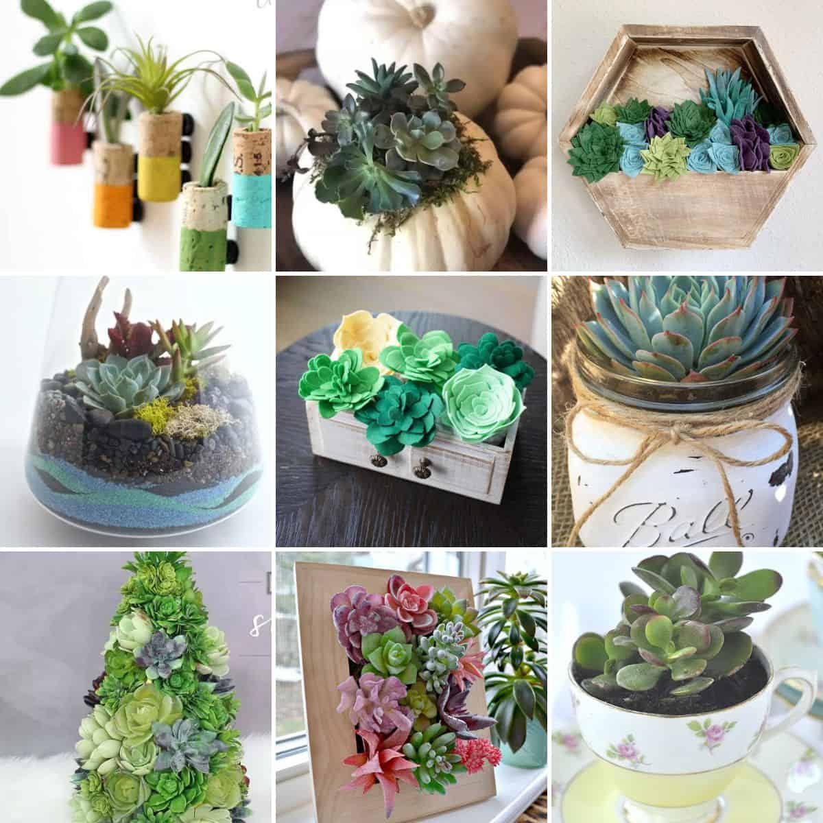 https://thecraftyblogstalker.com/wp-content/uploads/2022/08/succulent-crafts-ideas-2.jpg