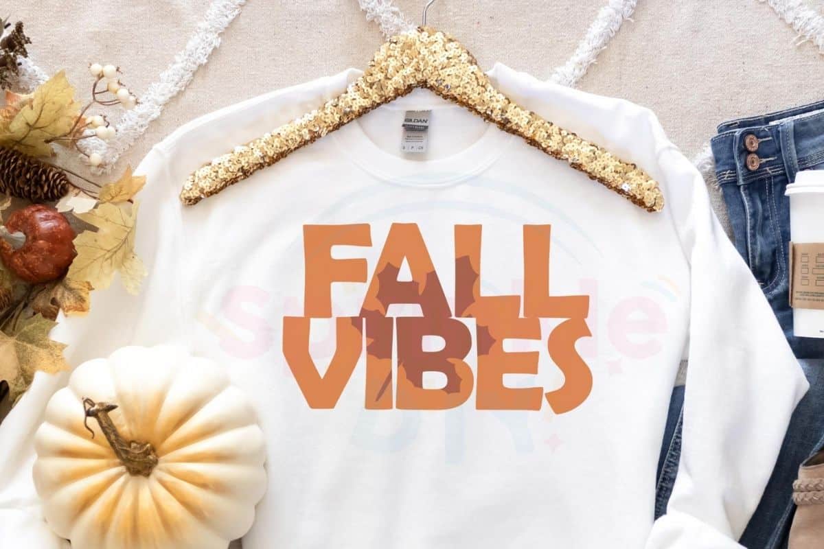 Sweatshirt with a 'Fall Vibes' design.