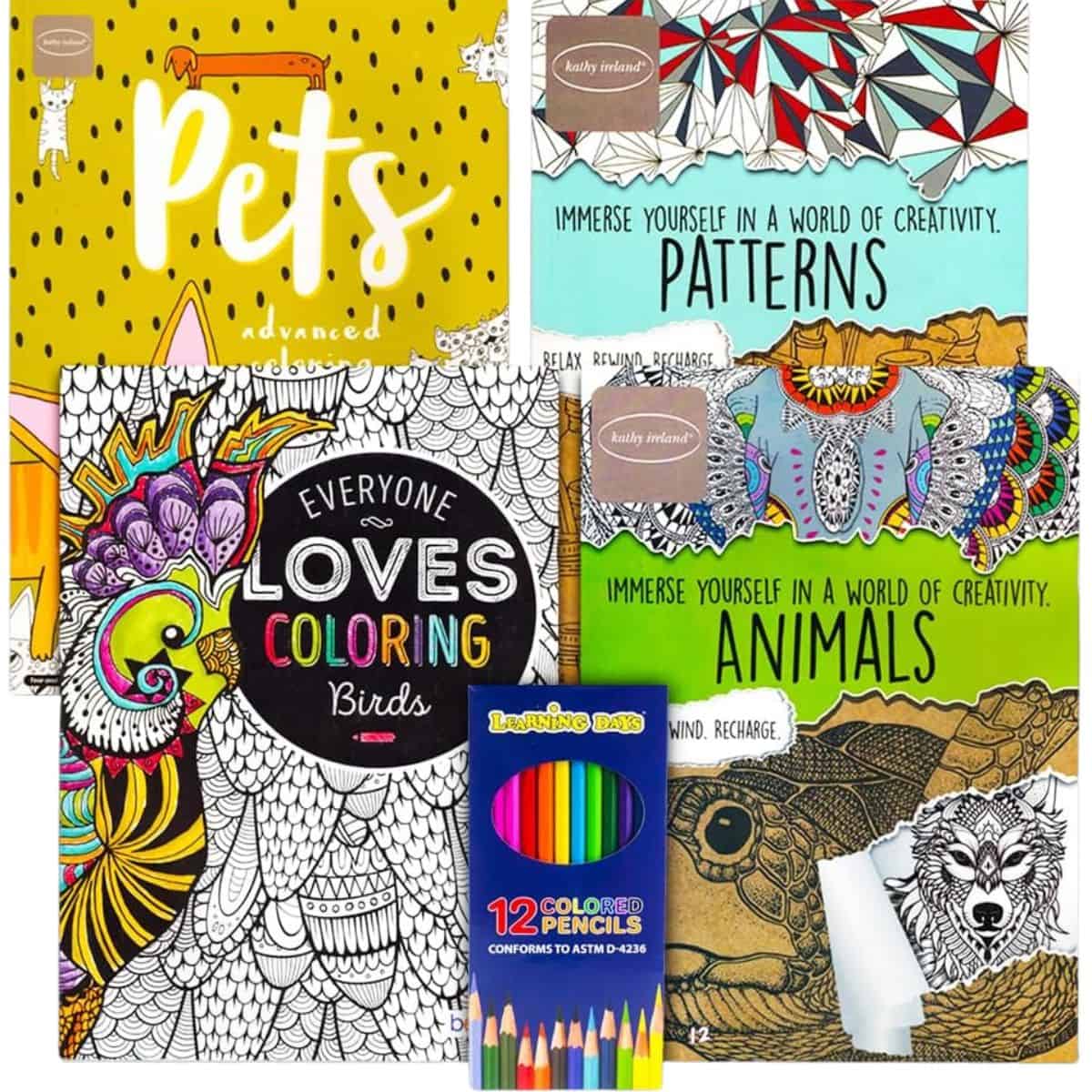 Adult coloring set featuring four themed coloring books-animals, birds, pets, and patterns-along with a pack of 12 colored pencils.
