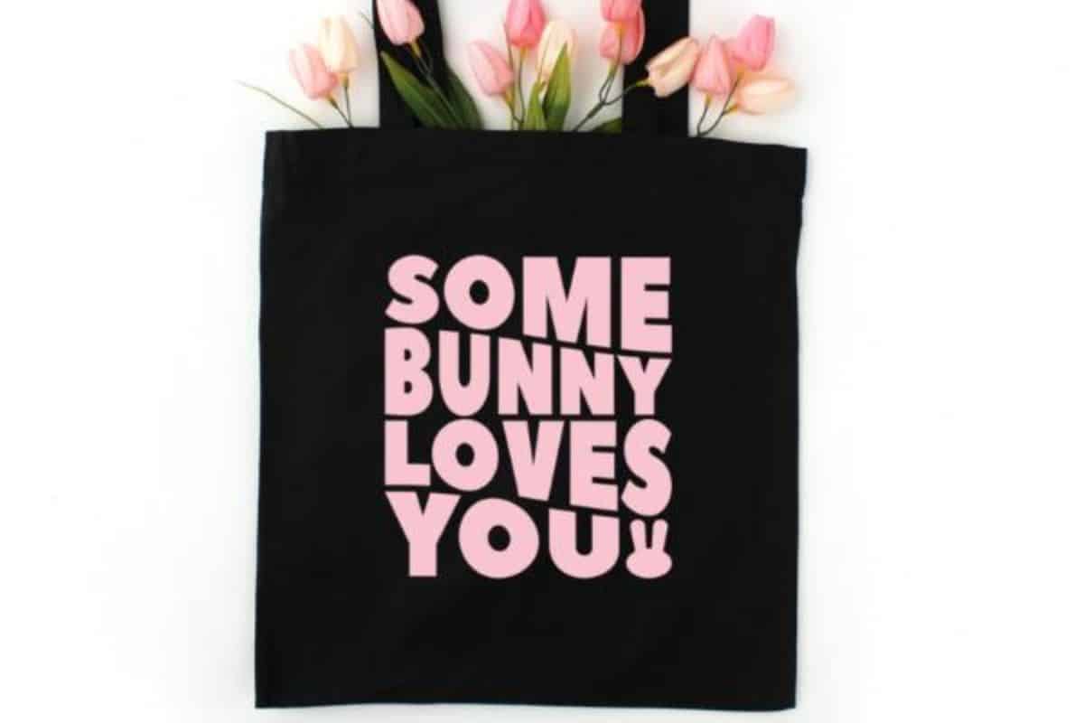 Some Bunny Studio Xtine Pinterest
