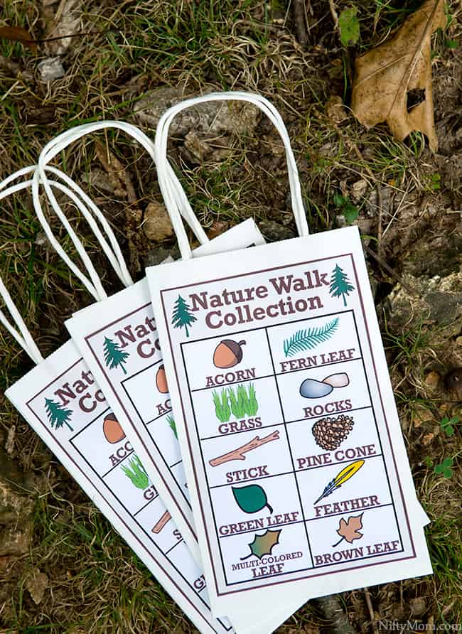Nature walk collection bags