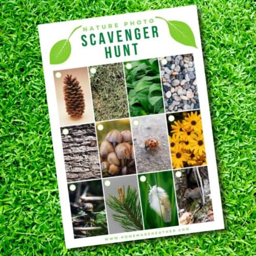 Nature scavenger hunt printable.