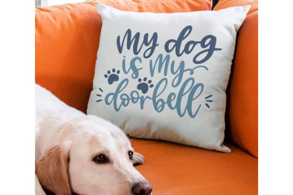 A pillow on a couch that reads 'my dog is my doorbell'.
