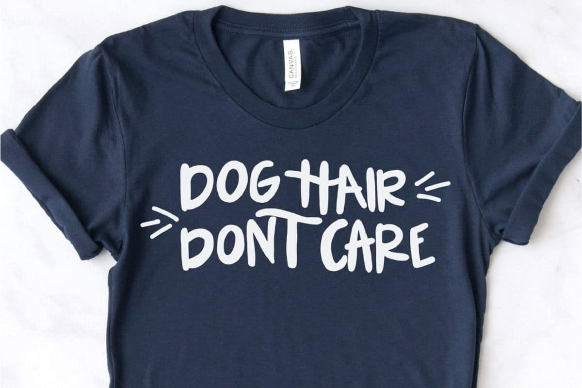 Vector file that reads 'dog hair don't care'.