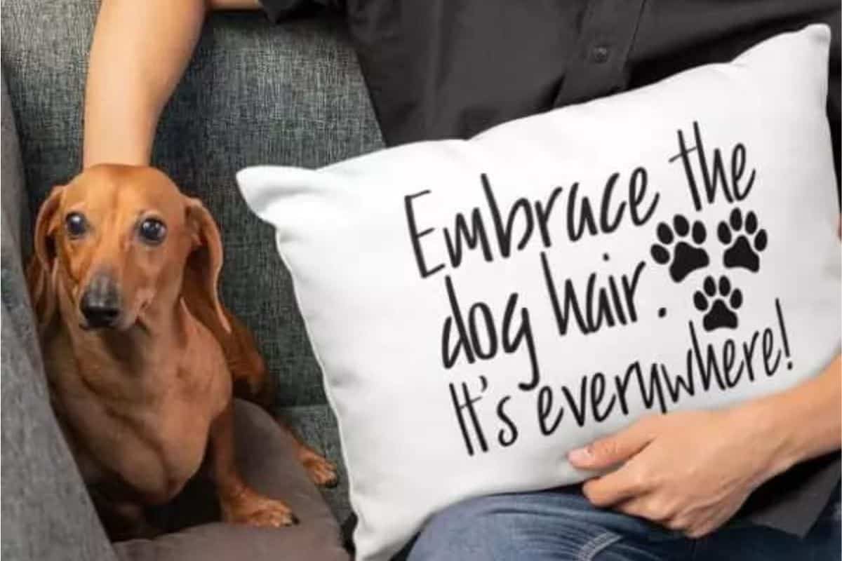 Someone holding a pillow the reads "embrace the dog hair. It's everywhere!'.