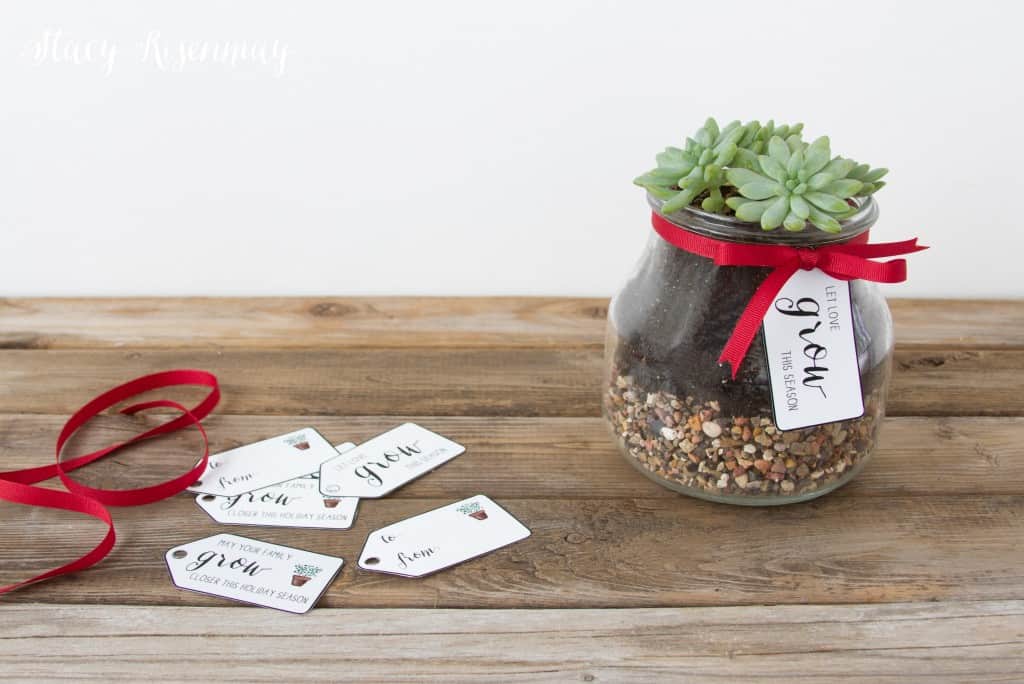 Let Love grow This Season succulent gift.