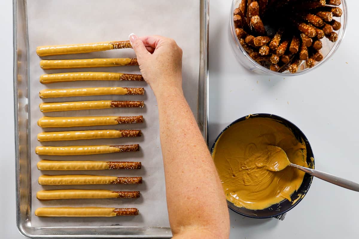 peanut butter covered pretzel sticks.