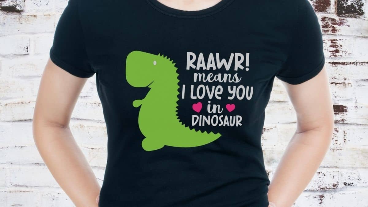 Black t-shirt with a cute green dinosaur graphic and the phrase "RAAWR! means I love you in dinosaur" printed in white and pink lettering.