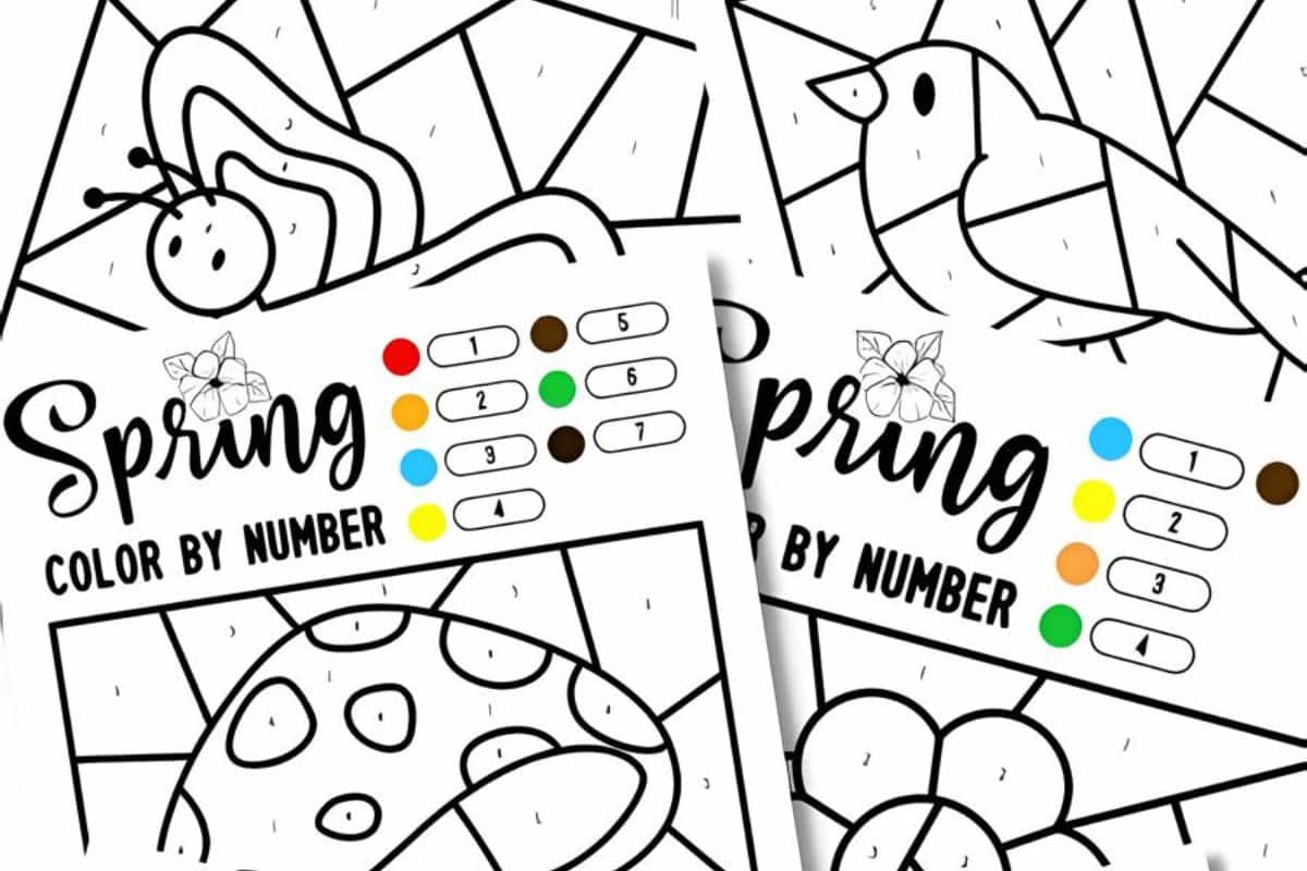 Spring Color By Number Printables.
