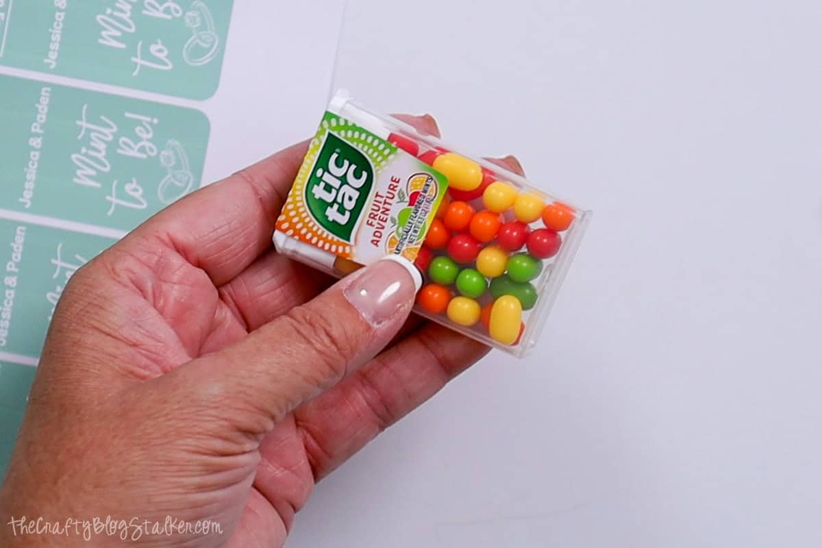 A hand holding a tic tac container. 