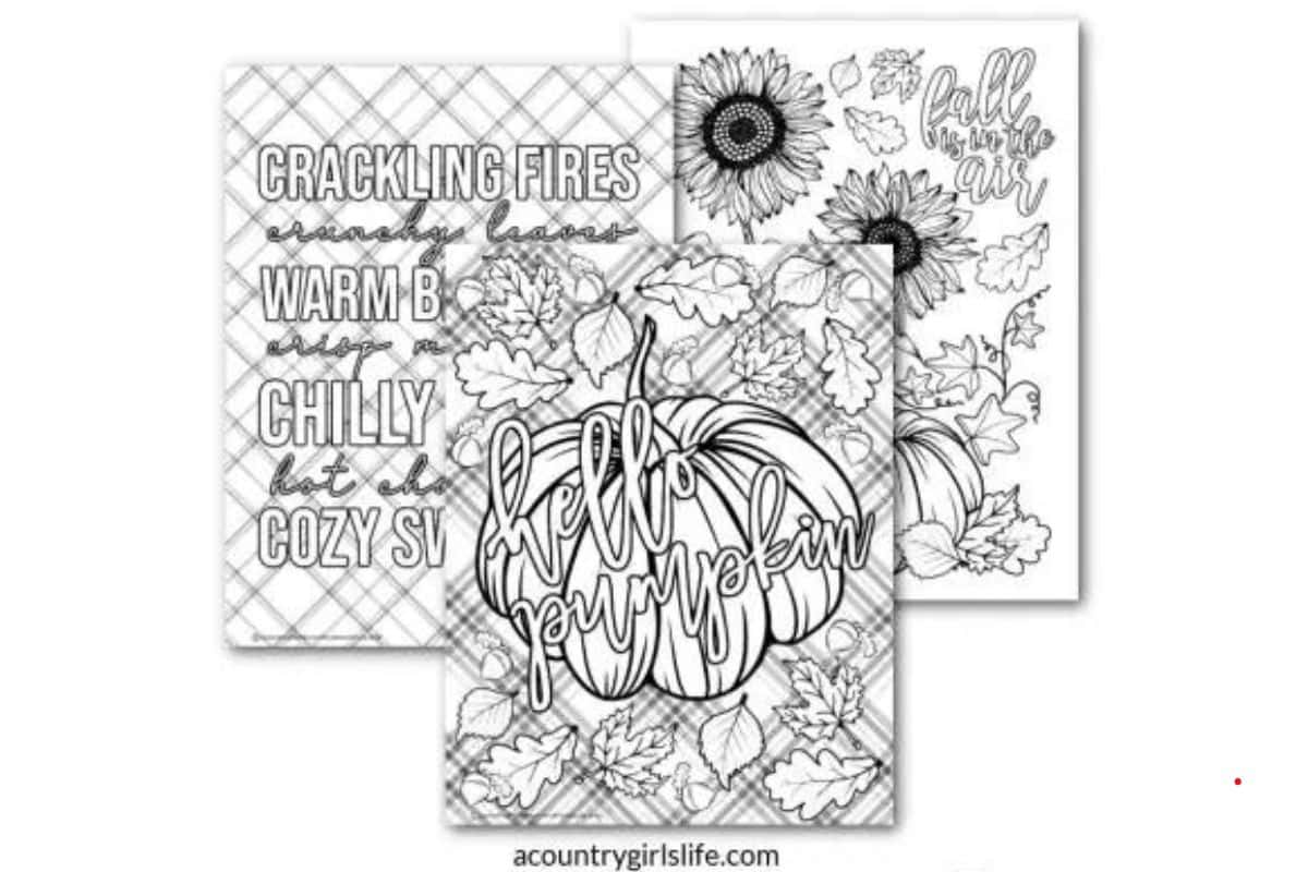 Three adult coloring pages.