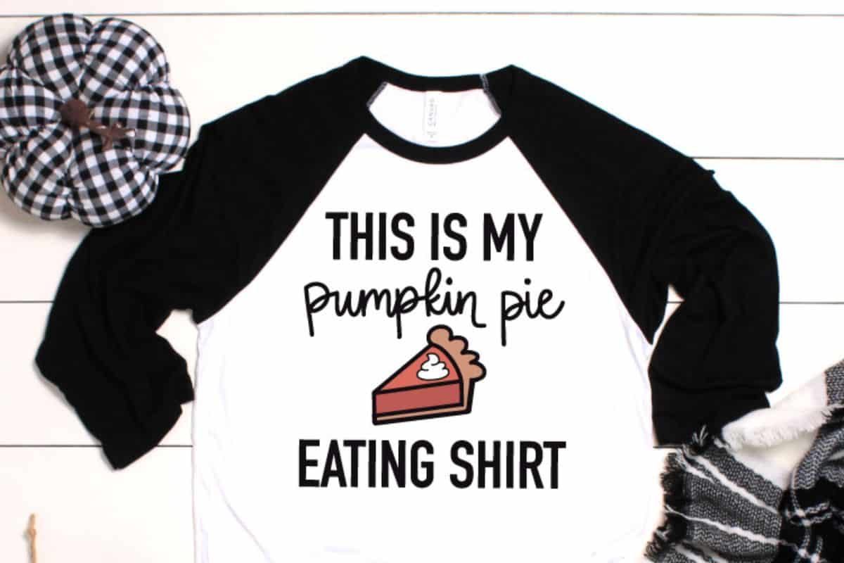 T-short with the design - This is my pumpkin pie eating shirt.