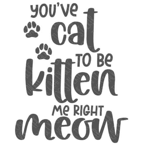 Cat to be Kitten