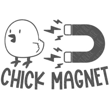 Chic Magnet