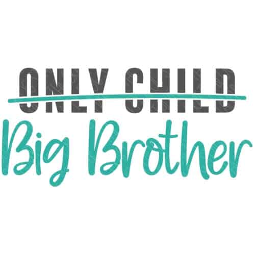 Only Child Big Brother