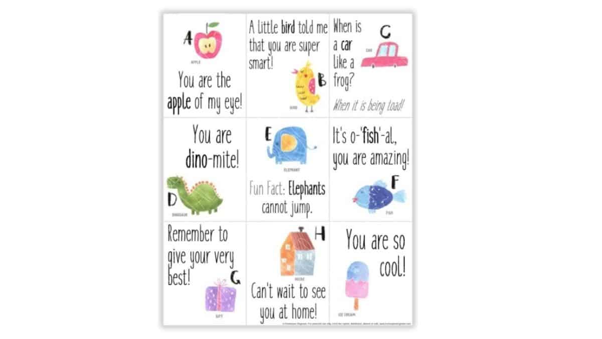 Alpha Lunchbox Notes