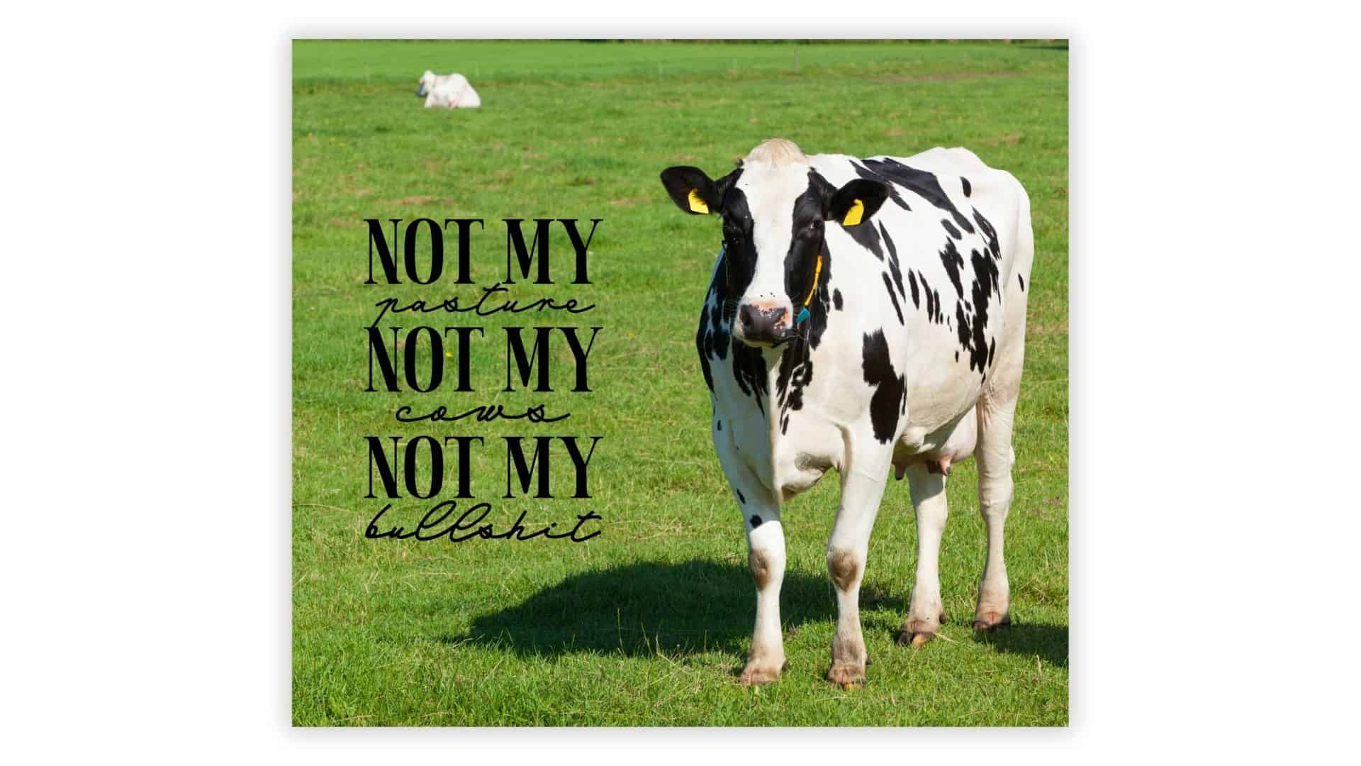 Sublimation print for skinny tumblers featuring a cow in a green pasture with the phrase “Not my pasture, not my cows, not my bullshit” in black text.