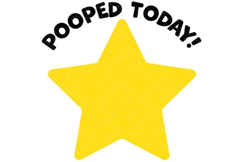 Layered SVG Cut File: pooped today gold star.