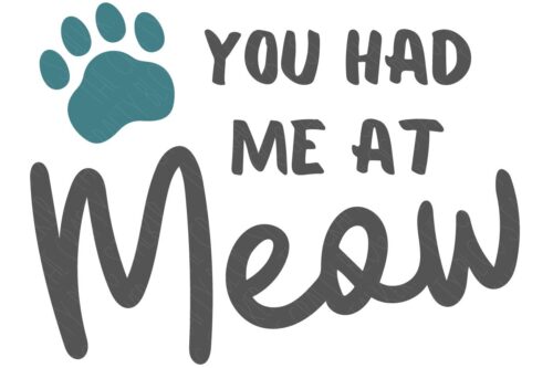 Layered SVG Cut File: You had me at meow.