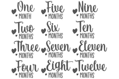 SVG Cut File Bundle: Monthly Milestones 1 - 12 months.