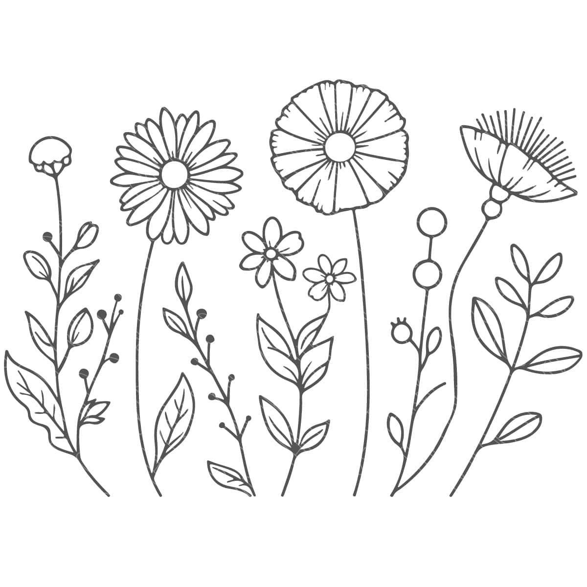 SVG Cut File Bundle: 7 wildflower stems.