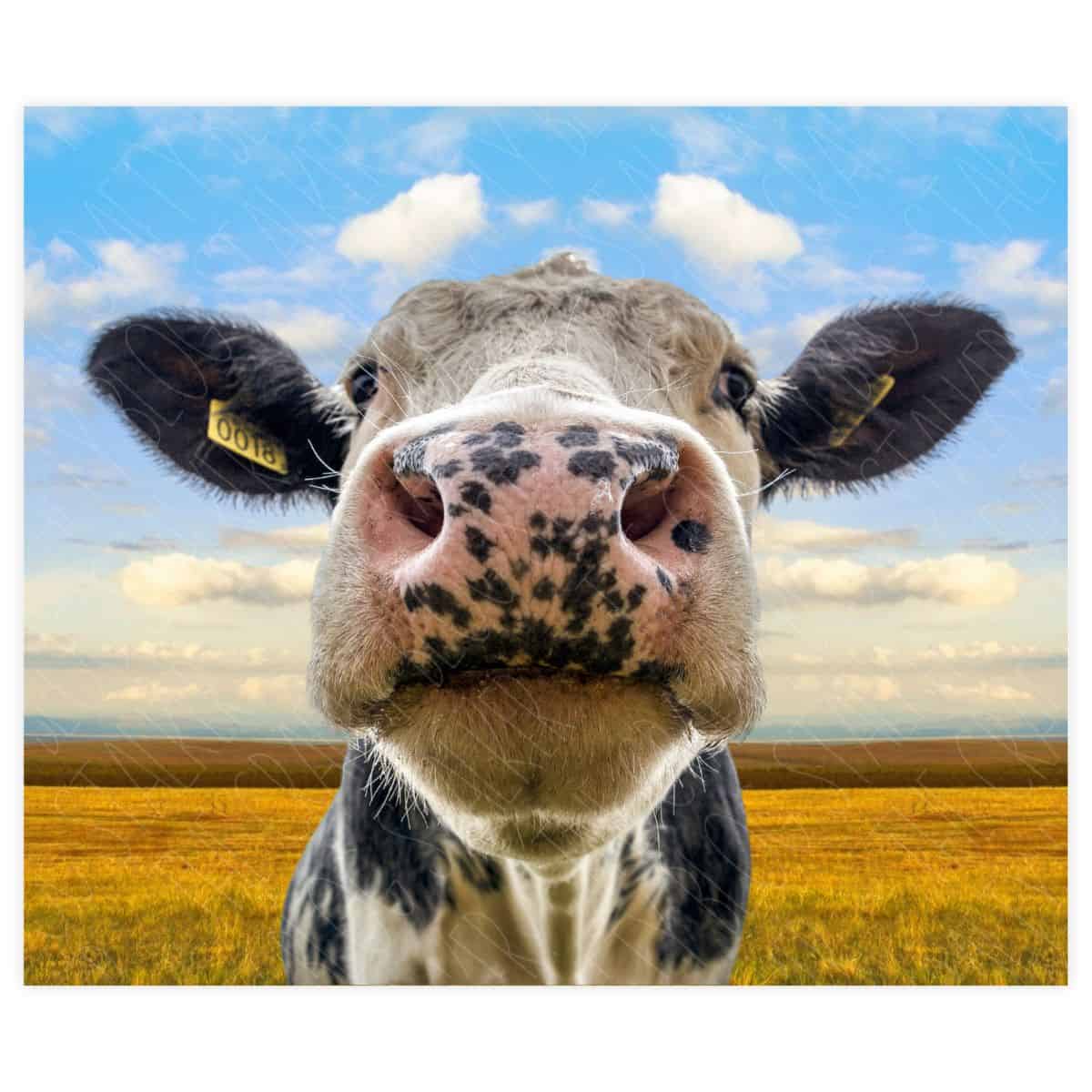 Cow Tumbler Wrap PNG for Sublimation	

			
		
	
	
		
			Free – Buy Now Checkout
							
					
						
							
						
						Added to cart