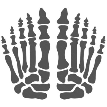 Graphic of two skeleton feet with detailed toe and foot bones, arranged side by side in a symmetrical, anatomical style for Halloween or medical-themed crafts.