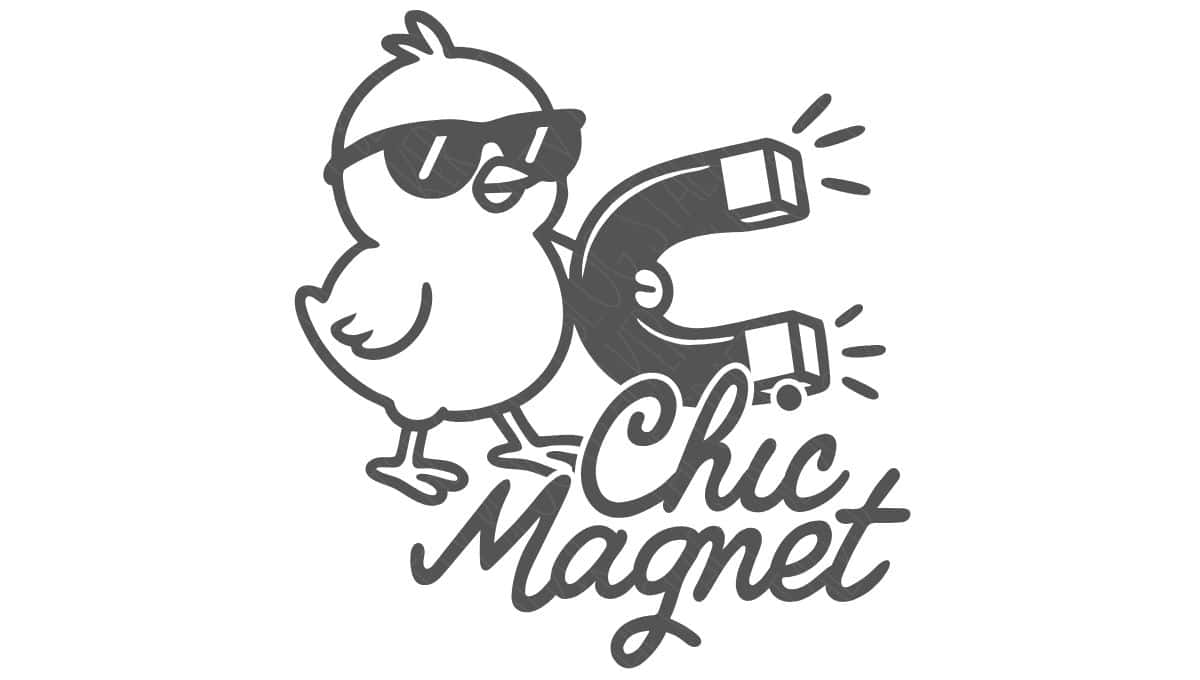 Cool cartoon chick wearing sunglasses holding a horseshoe magnet with the text Chic Magnet in playful script below.