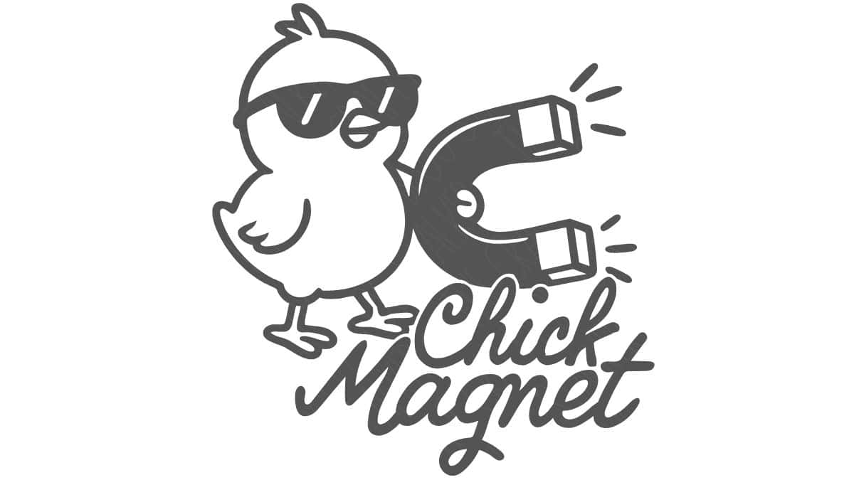 Cartoon chick wearing sunglasses next to a horseshoe magnet with the words 