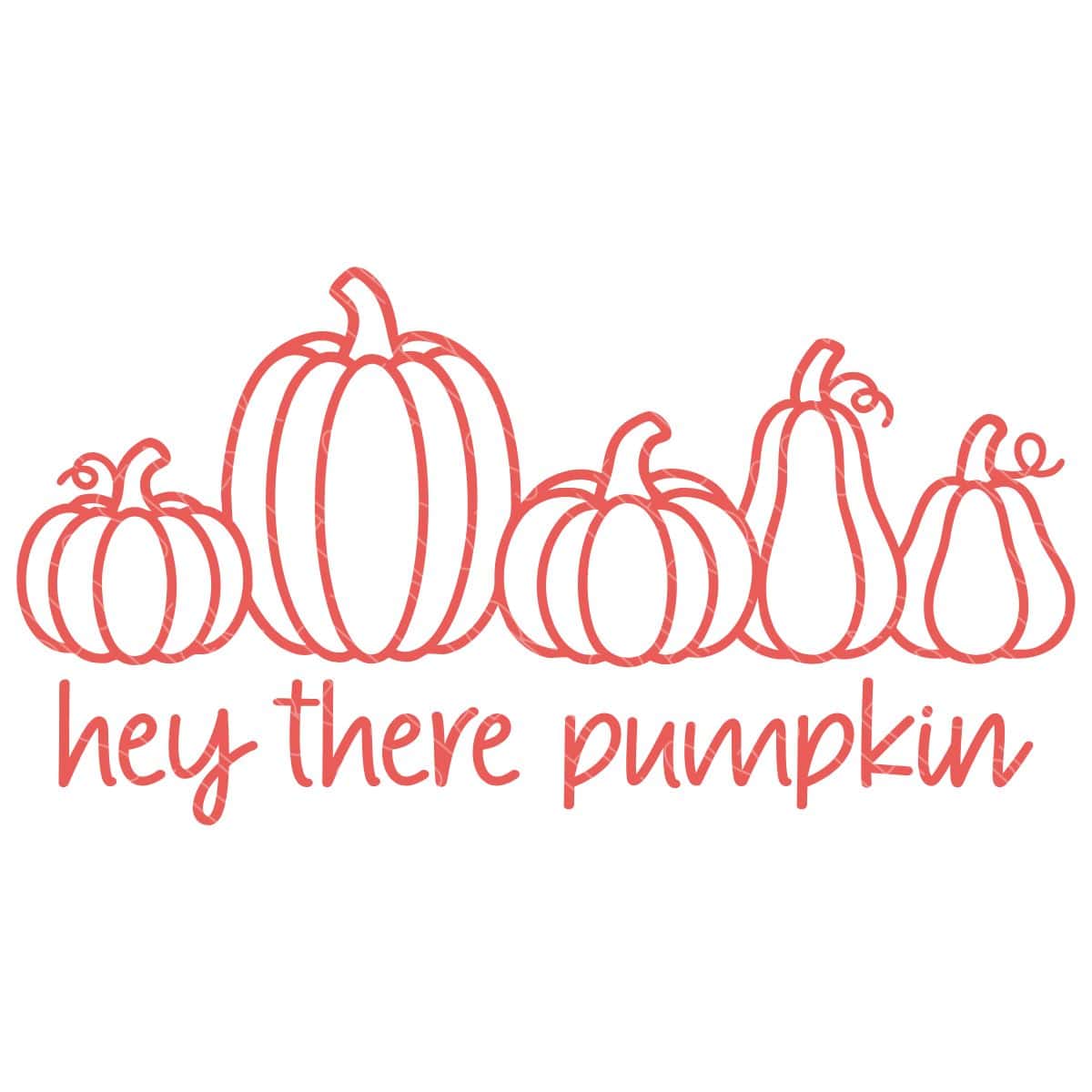 Line art of five pumpkins in different shapes and sizes with the phrase hey there pumpkin written below in a playful script font.