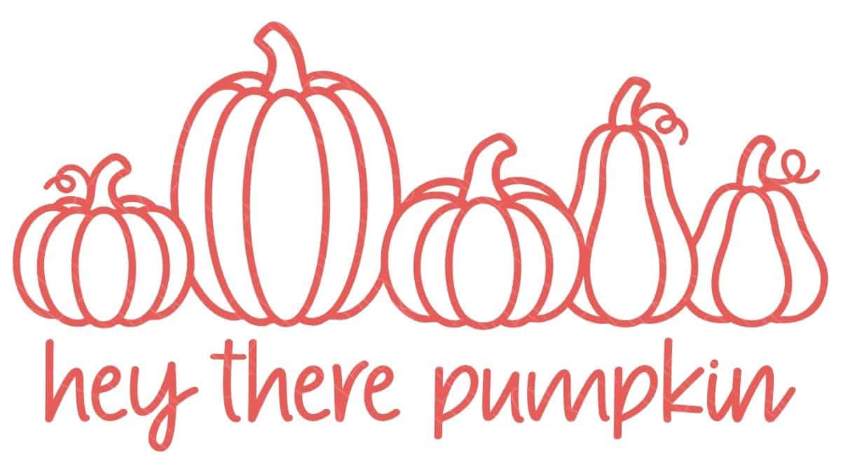 Line art of five pumpkins in different shapes and sizes with the phrase hey there pumpkin written below in a playful script font.