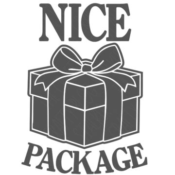 A graphic of a wrapped gift box with a bow, with the words “Nice Package” above and below the illustration in bold lettering.