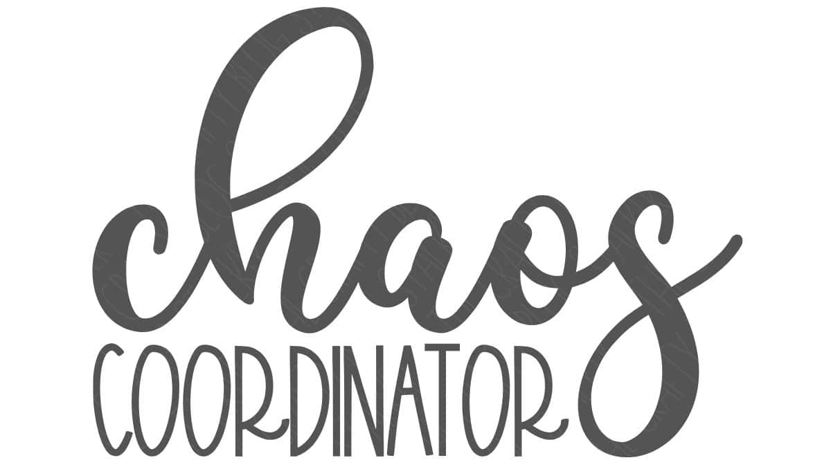 Gray script text design reading chaos coordinator, styled as an SVG cut file for Cricut or Silhouette craft projects.