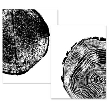 Two overlapping black-and-white prints featuring close-up tree ring patterns on white backgrounds.