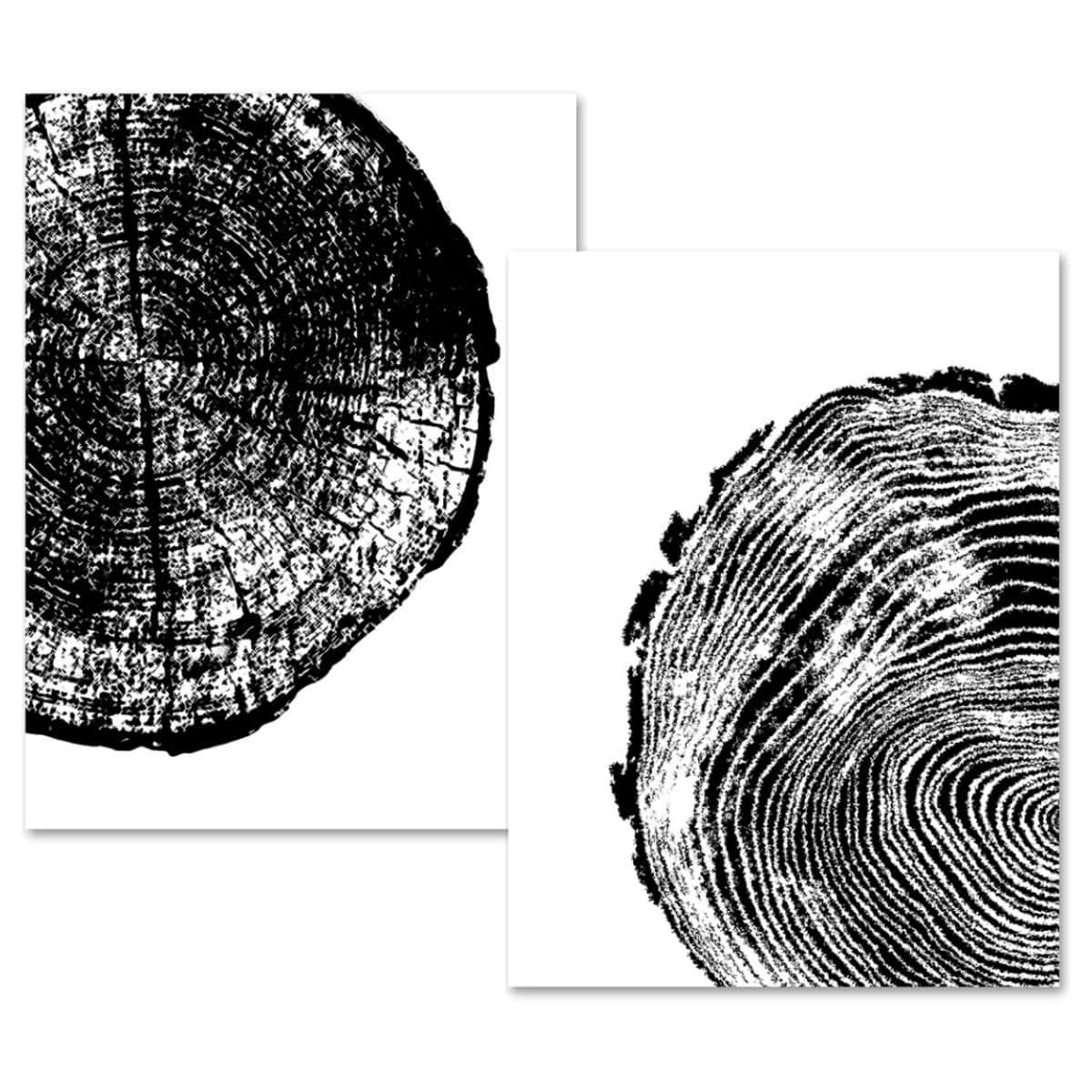 Two overlapping black-and-white prints featuring close-up tree ring patterns on white backgrounds.